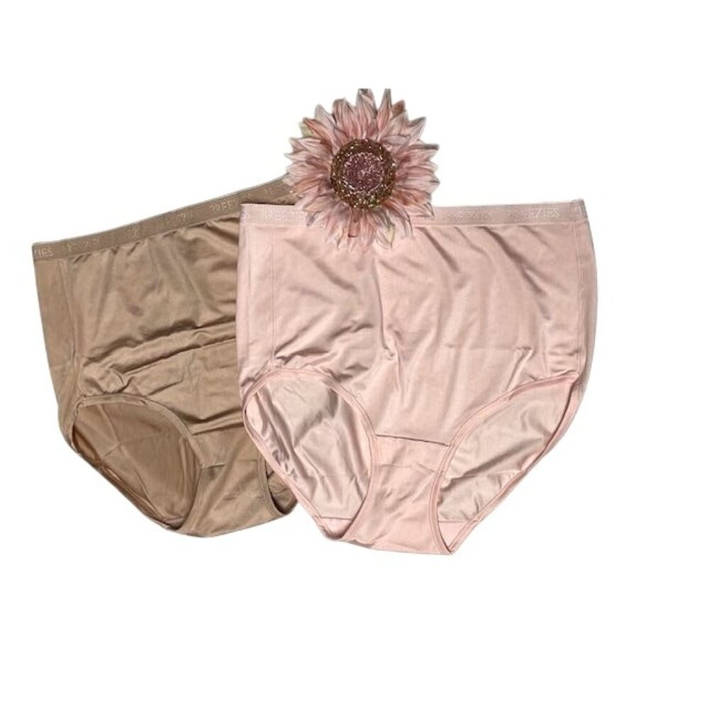 Breezies Nylon Microfiber Brief Panty Set of 2 2X